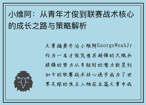 小维阿：从青年才俊到联赛战术核心的成长之路与策略解析
